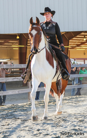 Williamston Horse Show 11-2012-103