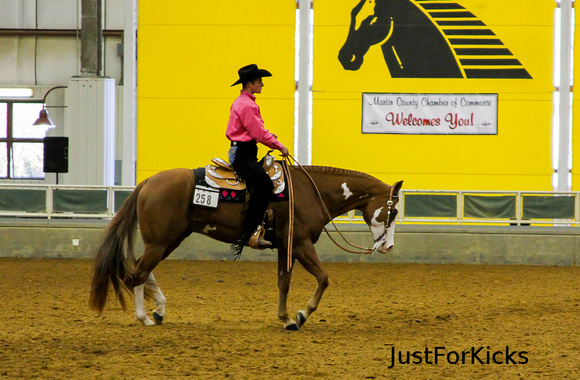 Williamston Horse Show 11-2012-109