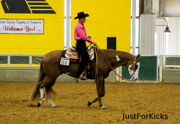 Williamston Horse Show 11-2012-110