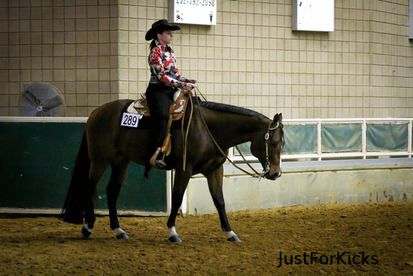 Williamston Horse Show 11-2012-113