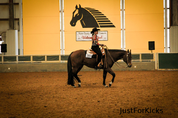 Williamston Horse Show 11-2012-114