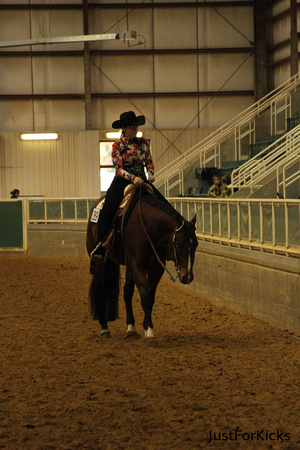 Williamston Horse Show 11-2012-115