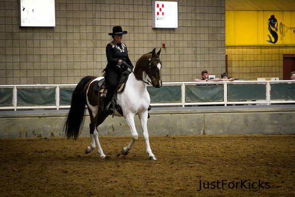 Williamston Horse Show 11-2012-116