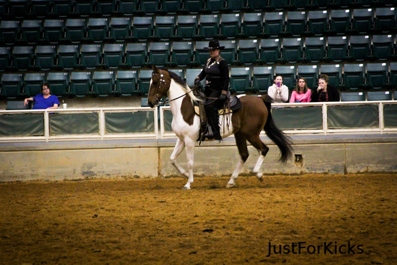 Williamston Horse Show 11-2012-117