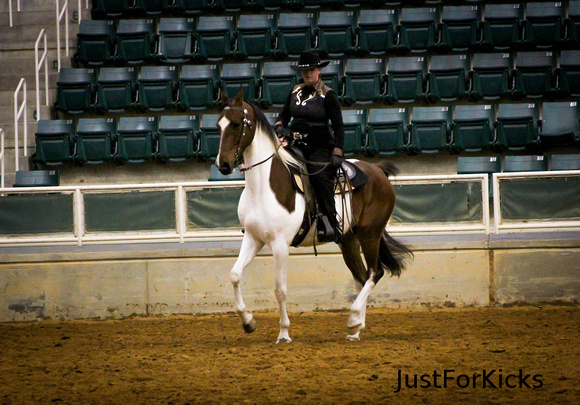 Williamston Horse Show 11-2012-118