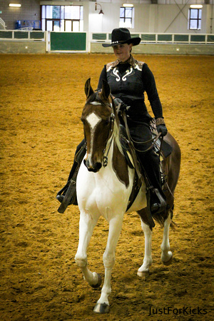 Williamston Horse Show 11-2012-119