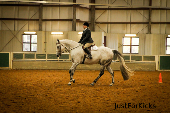 Williamston Horse Show 11-2012-122