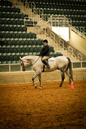Williamston Horse Show 11-2012-124