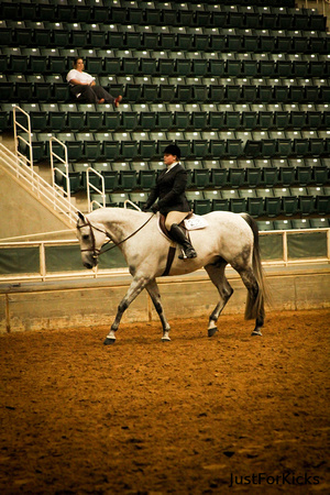 Williamston Horse Show 11-2012-125