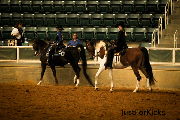 Williamston Horse Show 11-2012-127