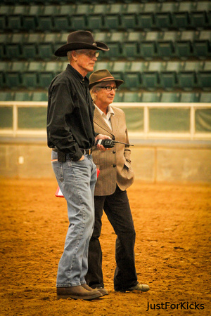 Williamston Horse Show 11-2012-129