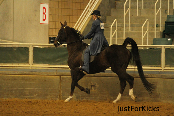 Williamston Horse Show 11-2012-131