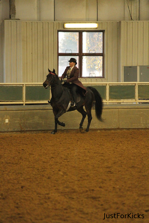 Williamston Horse Show 11-2012-133