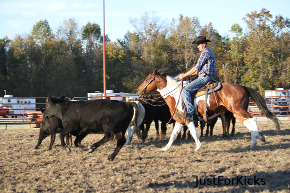 Williamston Horse Show 11-2012-138