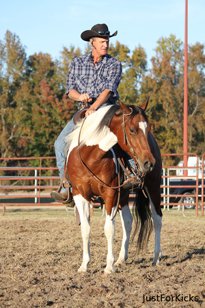 Williamston Horse Show 11-2012-140