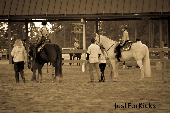 Williamston Horse Show 11-2012-211