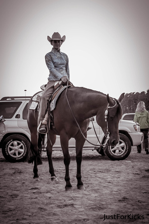 Williamston Horse Show 11-2012-222