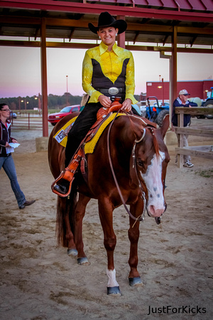Williamston Horse Show 11-2012-227