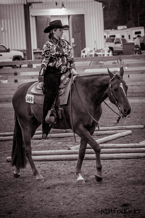 Williamston Horse Show 11-2012-317