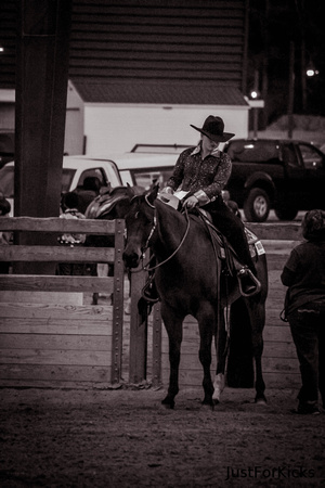 Williamston Horse Show 11-2012-318