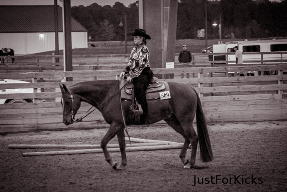 Williamston Horse Show 11-2012-323