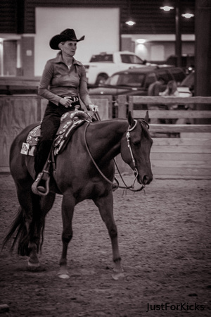 Williamston Horse Show 11-2012-325