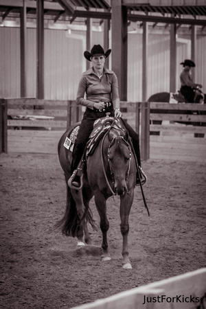Williamston Horse Show 11-2012-326