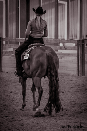 Williamston Horse Show 11-2012-328