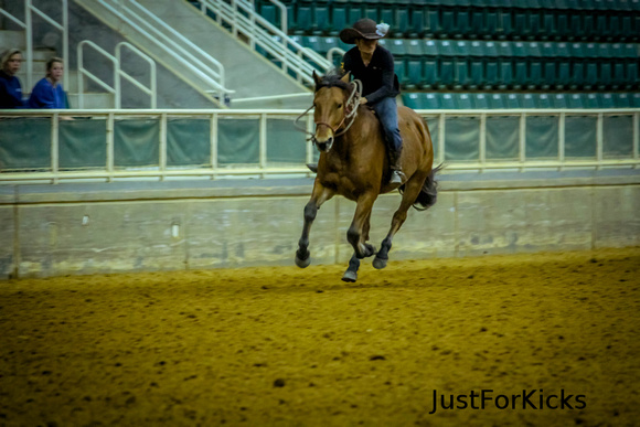 Williamston Horse Show 11-2012-331