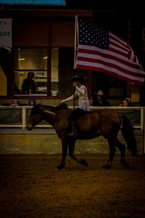 Williamston Horse Show 11-2012-341