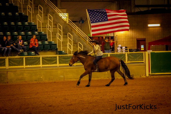 Williamston Horse Show 11-2012-342