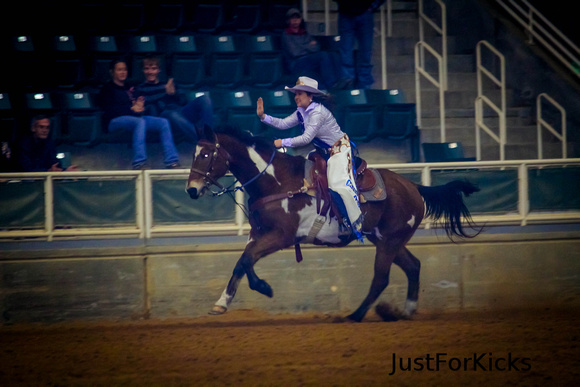 Williamston Horse Show 11-2012-343
