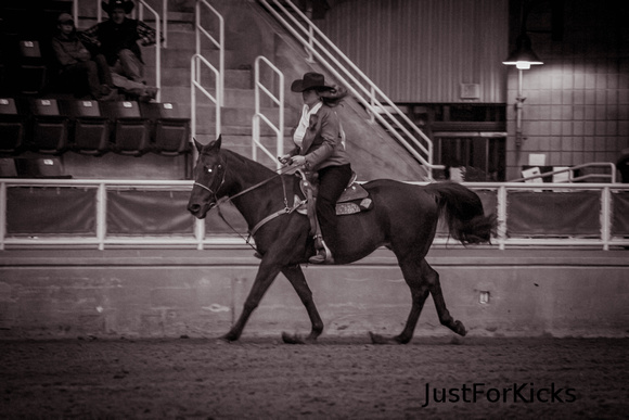 Williamston Horse Show 11-2012-345