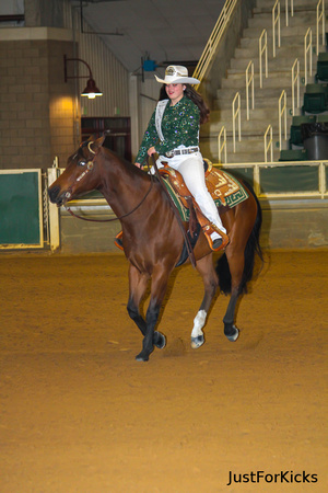 Williamston Horse Show 11-2012-376
