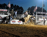 20101004 Wicked Bulls - Goldsboro