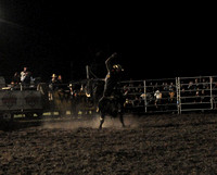 20111008 Wicked Bulls Greenville