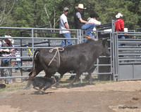 Bo working the bull