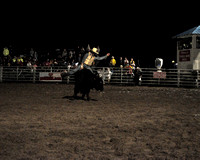 20090926 Benson Mule Days