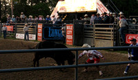 2008 Bullfighters