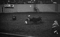 1991 LSU Rodeo