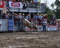 20090822 ABBI Davis Rodeo