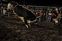 20101008 Wicked Bulls - Greenville